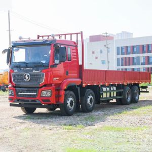 Used Shacman Cargo Lorry Truck